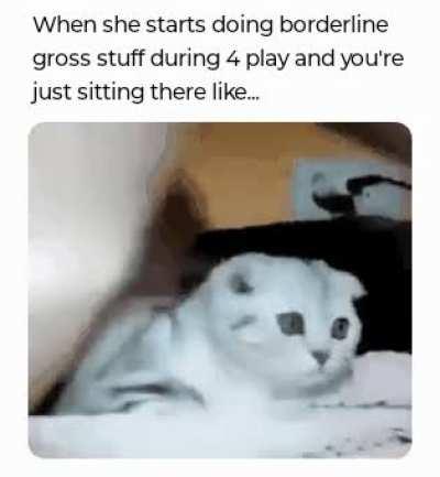 Put.... put your ______ in it...