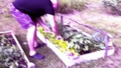 T U R T I A I N E N W A V E