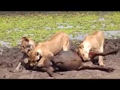 cbt☺️☺️😘😘😘🥰🥰😍