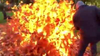 WCGW Pouring gasoline on a leaf pile