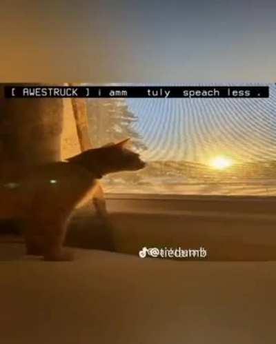 anti destressing meme