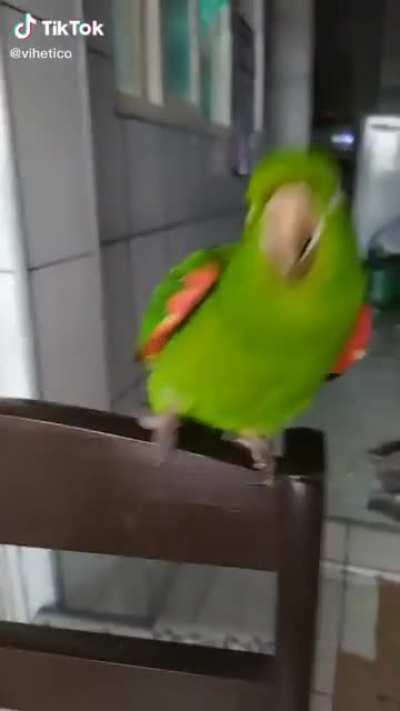 Enquanto isso em Curitiba