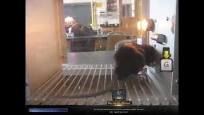 Average Lost Ark Enjoyer