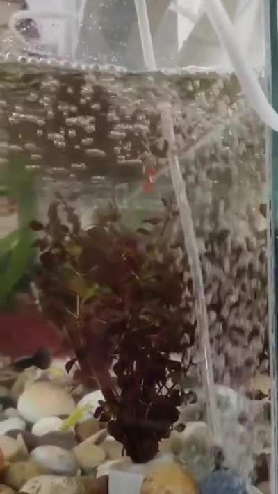 Wee.. in a small world