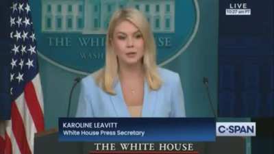 Karoline Leavitt is upset that some people are suggesting that Trump is corrupt