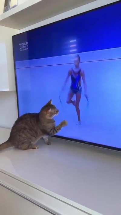 O gatinho também quer brincar, moça