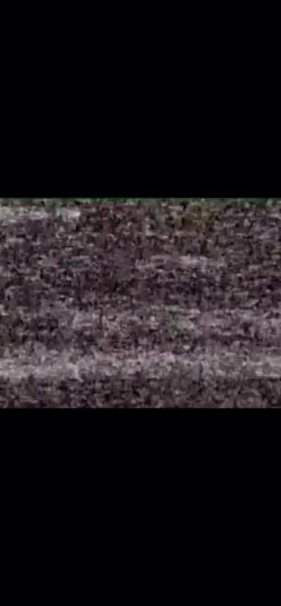 This scared the shit out of me when I first saw it