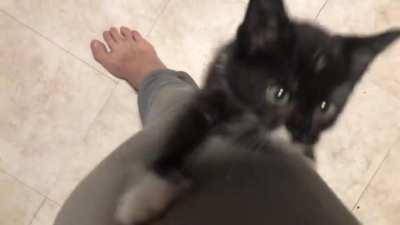 this criminal is wanted on charges of disturbing the peace, trespassing and destruction of property…approach at your own risk