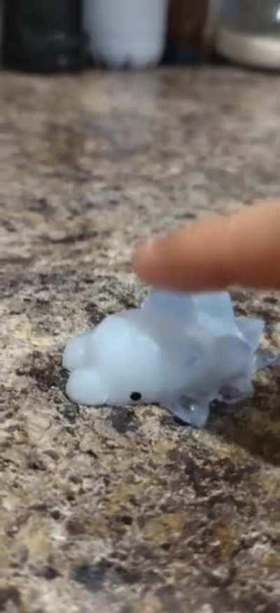 First try at making a squishy Snom. It tore a bit coming out of the mold but I still love him.