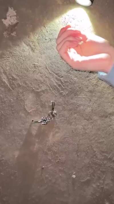 Losercity Friendship