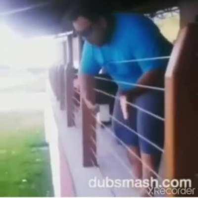 Big bass = big brain