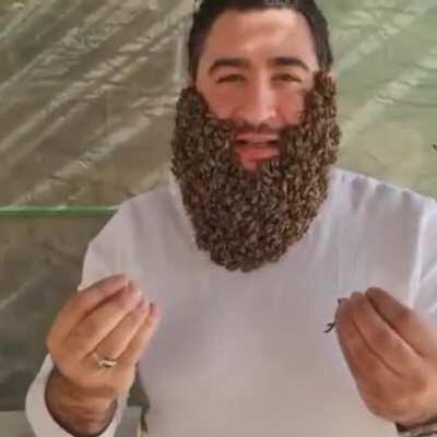 A bee beard... a beerd