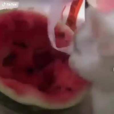 Isso vai parecer meio gay mas... Esse tipo de vídeo me faz ter um pouquinho de fé na humanidade.