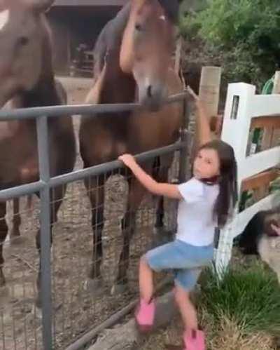 Sheep and Goats are Karens of the animal world