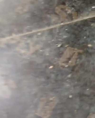 Can I try? Only one bite...