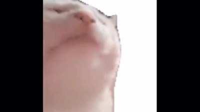 Me vibing to the Festive soundtrack at 3:00 am