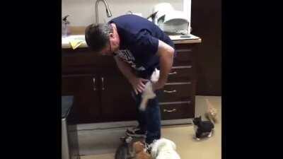 PAcK oF LiIons MaulS HuMaN as hE trieS to TeAr HImSELf FRee (WARNING: EXTREMELY GRAPHIC)