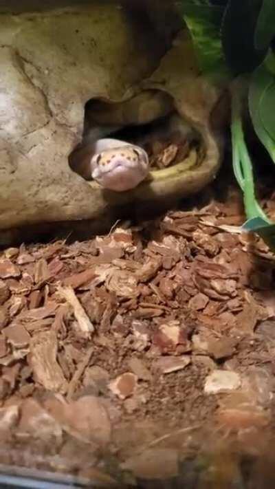 Can he be any cuter?!