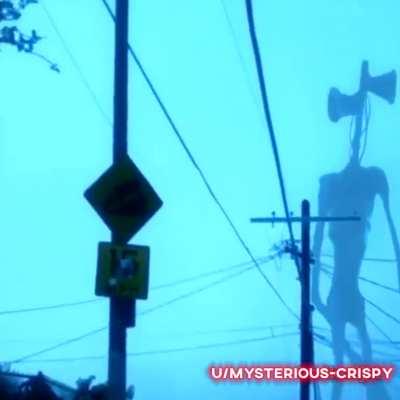 HALICI GELDİ HALICI