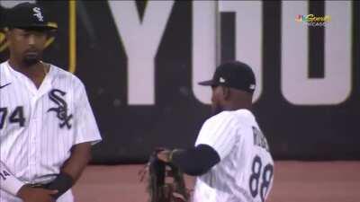 Water covers 3/4 of the Earth and Luis Robert covers the rest, stealing a fly ball from the observant Eloy Jimenez.