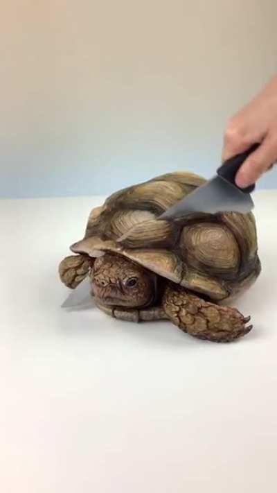 Thanks, I hate turtle food.