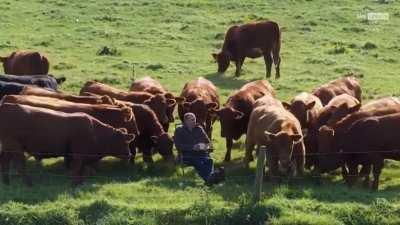 Когда ты единственный парень в клубе