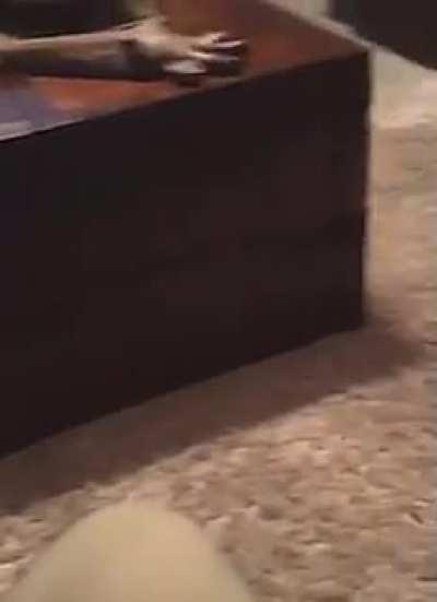 That's a smart little kitty. Ambush your human from behind.