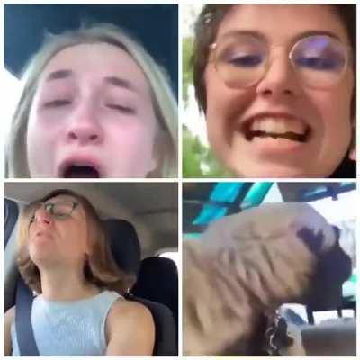 Can't tell any of them apart