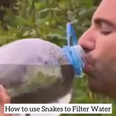 Man attempts to use a snake to filter water, an obvious result occurs