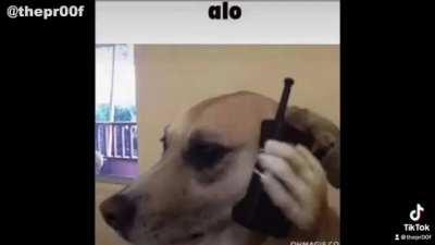 🤤🤤🤤🤤🤤🤤🤤🤤🤤😫