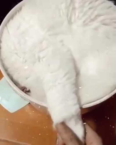 Heavy cream?......hmmmmm