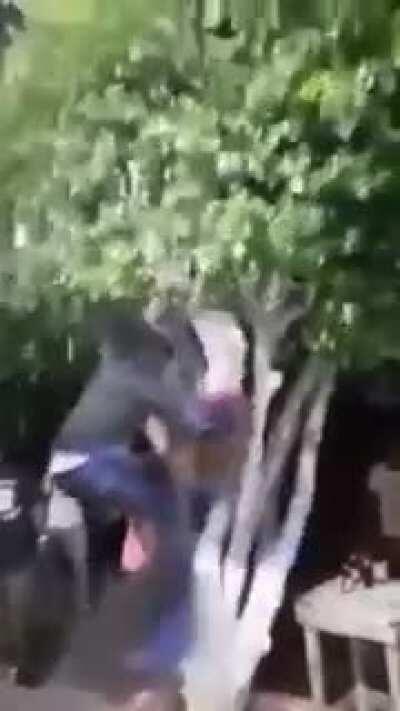 It's There Mating Season