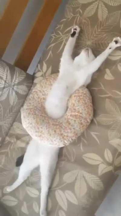 Who expects such a Saturday?