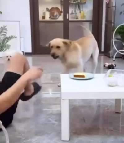 Where there is chaos, there is opportunity 