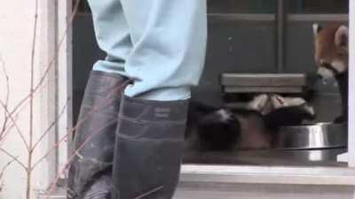 AAAAAAAAAAAAAAAAAAAAAAAAAAAA