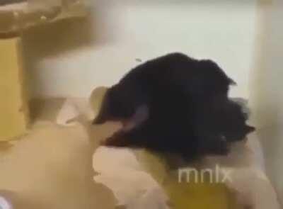 Neviem či to tu bolo...