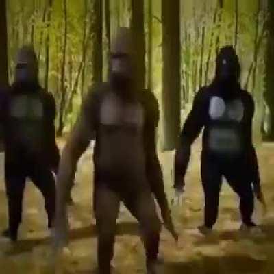 comedyepilepsy - Video #4521