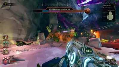 The average lifespan of the common steeve is about 4 seconds.