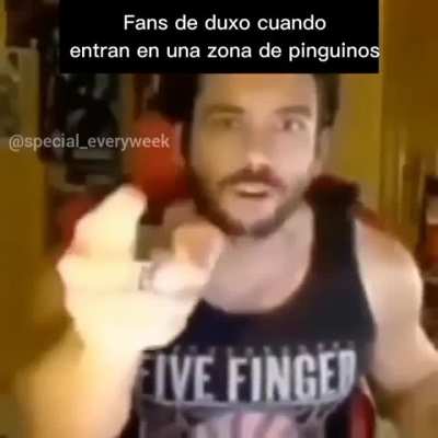 alejen a los pinguinos de los retheys