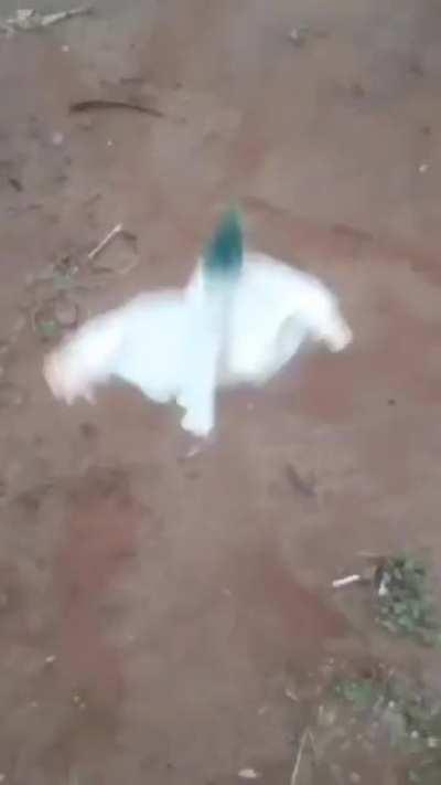 i met him on a dream