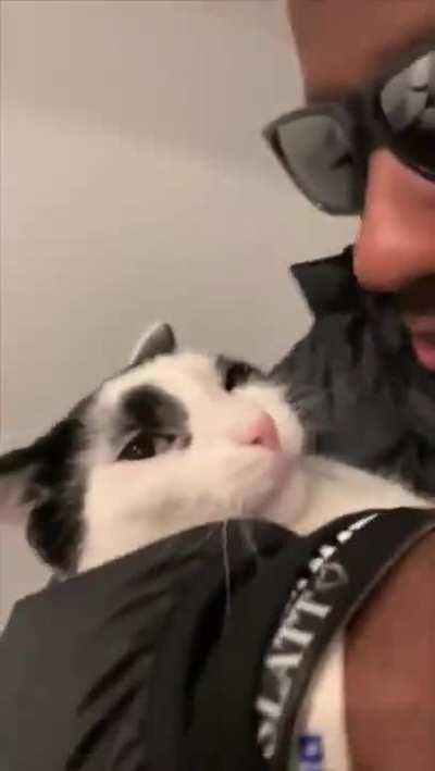 Cat lets owner kiss it, before returning kiss back on nose