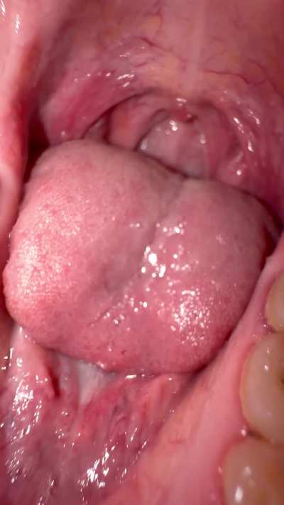 you can't stop yourself from sliding down my throat, I'm too moist, the hunger makes me wet