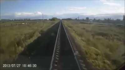 A man with two cows runs across the railway at really bad time