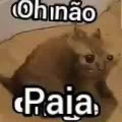 Oh não paia.