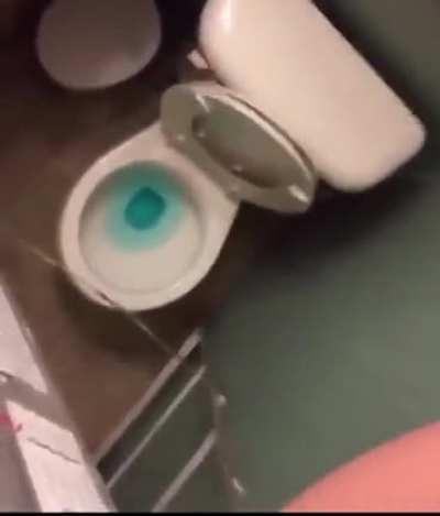 ULTIMATE Toilet Timing