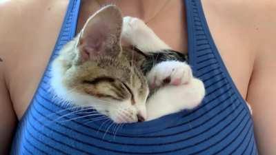 Gus in his happy place