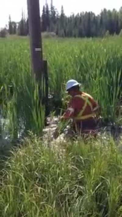 So you want to be a lineman