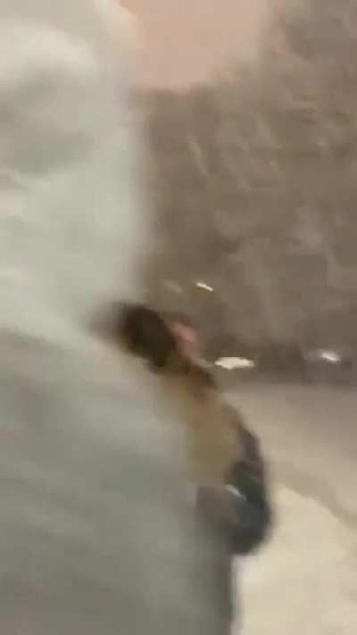 Seattle woman trying to run over pedestrians for hitting her car with a snowball