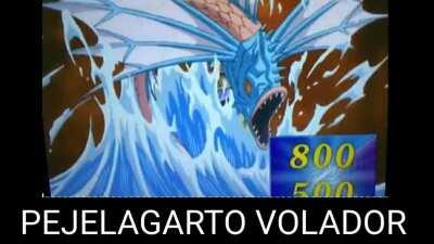 Joer encima volador