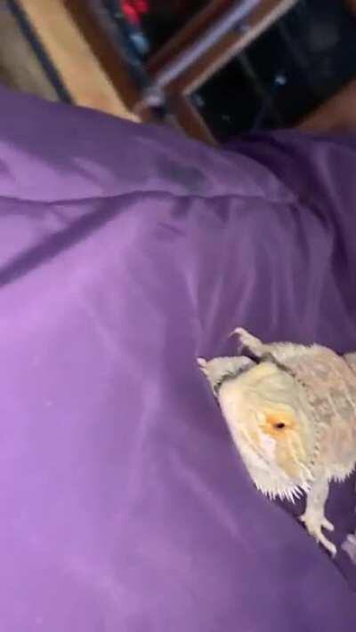 Oh lordy dont know body know